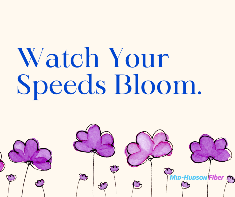 Watch Your Speeds Bloom